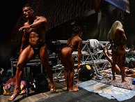 Чемпионат по бодибилдингу и фитнесу Чемпионат по бодибилдингу и фитнесу