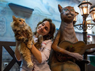 Кошек из Эрмитажа раздали в Санкт-Петербурге Кошек из Эрмитажа раздали в Санкт-Петербурге