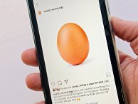 Аккаунт World_record_egg в Instagram Аккаунт World_record_egg в Instagram
