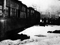 Блокада Ленинграда, жертвы артобстрела Блокада Ленинграда, жертвы артобстрела
