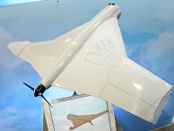 Беспилотник-камикадзе Куб-БЛА вооружений IDEX-2019 Беспилотник-камикадзе Куб-БЛА вооружений IDEX-2019