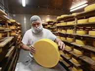 Производство сыра в России Производство сыра в России