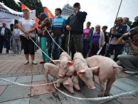 Протестные акции в Киеве Протестные акции в Киеве