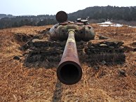 Остров Шикотан Остров Шикотан
