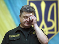 8 сентября 2014. Президент Украины Петр Порошенко 8 сентября 2014. Президент Украины Петр Порошенко