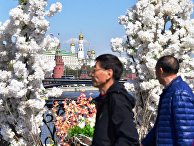 Весенняя Москва Весенняя Москва