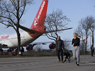 Boeing голландской авиакомпании KLM в Амстердаме Boeing голландской авиакомпании KLM в Амстердаме