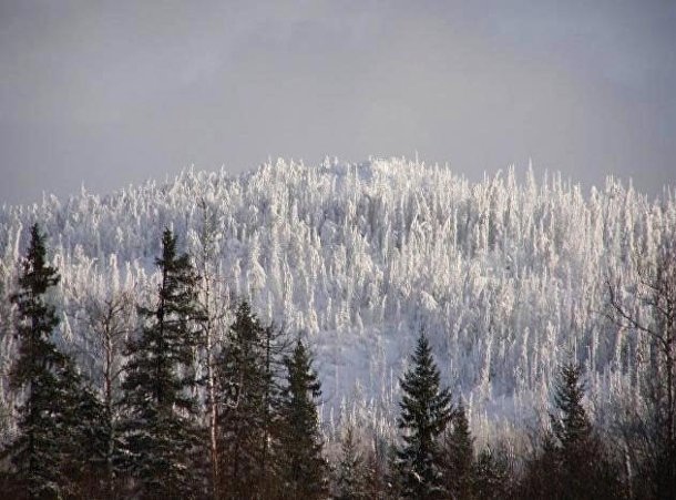 Витимский заповедник картинки