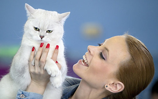 Кошка и хозяйка Кошка и хозяйка