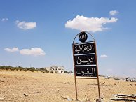 Сирийская армия освободила г. Хан-Шейхун в провинции Идлиб Сирийская армия освободила г. Хан-Шейхун в провинции Идлиб