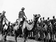 Британский герцог Глостер инспектирует войска в Судане 1 июля 1942 года Британский герцог Глостер инспектирует войска в Судане 1 июля 1942 года