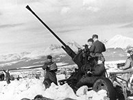Советский зенитный расчет в Карпатах. 4-й Украинский фронт. Советский зенитный расчет в Карпатах. 4-й Украинский фронт.