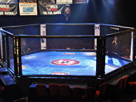 Клетка для проведения боев MMA Клетка для проведения боев MMA