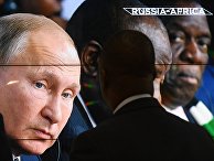 Экономический форум "Россия – Африка". День второй Экономический форум "Россия – Африка". День второй