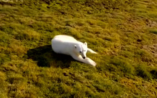 Russia discovers 5 new islands revealed by melting glaciers Russia discovers 5 new islands revealed by melting glaciers