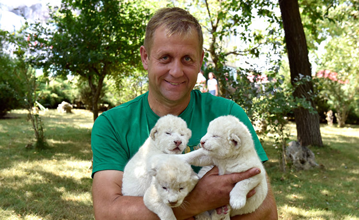 Белые львята родились в сафари-парке в Крыму