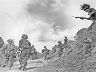 Солдаты «Голубой дивизии» в битве под Ленинградом в 1943 году Солдаты «Голубой дивизии» в битве под Ленинградом в 1943 году