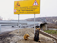 Открытие моста у КПП "Станица Луганская" Открытие моста у КПП "Станица Луганская"
