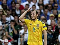 Футбол. Чемпионат Европы - 2016. Матч Украина - Польша Футбол. Чемпионат Европы - 2016. Матч Украина - Польша