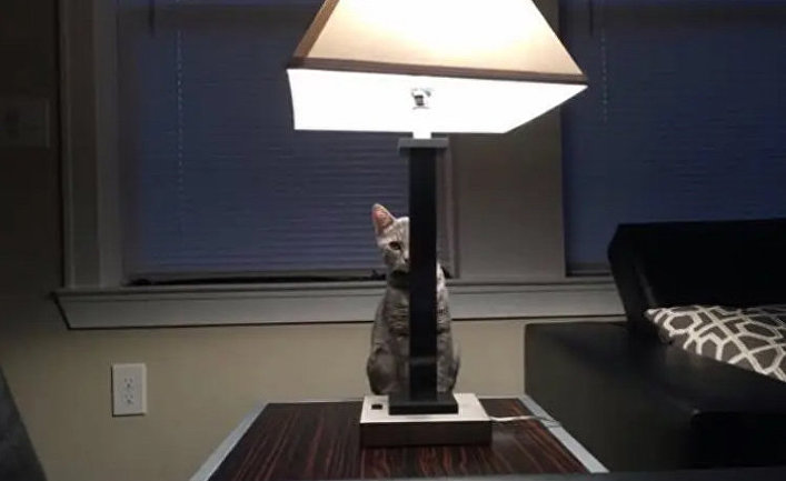 I think she's plotting something
