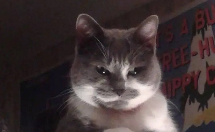Plotting her revenge