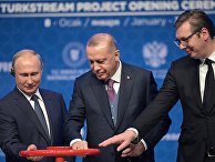 Рабочий визит президента РФ В. Путина в Турецкую Республику Рабочий визит президента РФ В. Путина в Турецкую Республику