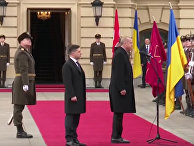 «Слава Украине» - Эрдоган поприветствовал почетный караул в Киеве «Слава Украине» - Эрдоган поприветствовал почетный караул в Киеве