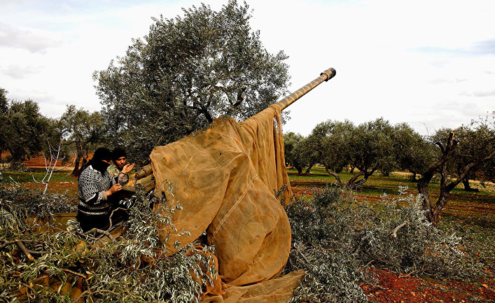 Сирийские военные в районе Идлиба, Сирия