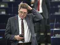 Член Европейского парламента Ги Верховстадт Член Европейского парламента Ги Верховстадт
