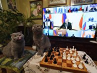 Трансляция совещания президента РФ В. Путина с руководителями субъектов РФ Трансляция совещания президента РФ В. Путина с руководителями субъектов РФ
