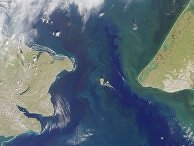 Берингов пролив Берингов пролив