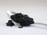 Черная икра Черная икра
