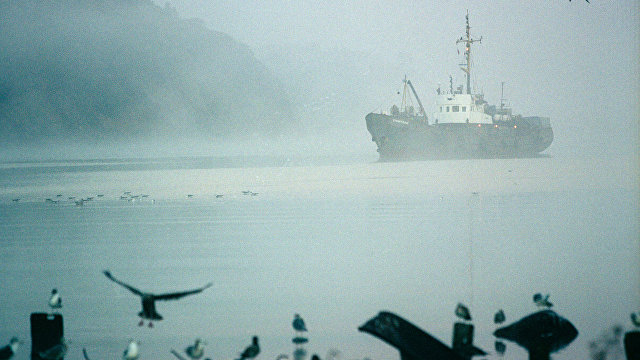 Трагедия в Охотском море: столкновение российского и японского судов. Погибло трое японцев (NHK, Япония)