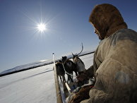 Праздник северных народов - День оленевода Праздник северных народов - День оленевода