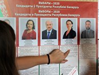 Досрочное голосование на выборах президента Белоруссии Досрочное голосование на выборах президента Белоруссии