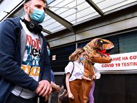 Пассажиры перед экспресс-тестированием на COVID-19 в международном аэропорту «Внуково» Пассажиры перед экспресс-тестированием на COVID-19 в международном аэропорту «Внуково»