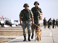 Открытие форума "Армия-2020" в городах России Открытие форума "Армия-2020" в городах России