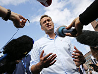 Оппозиционер Алексей Навальный Оппозиционер Алексей Навальный