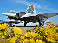 Многофункциональный истребитель пятого поколения Су-57 Многофункциональный истребитель пятого поколения Су-57