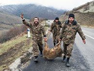 Ситуация в Нагорном Карабахе. Военнослужащие армии обороны Арцаха несут овцу в городе Лачин Ситуация в Нагорном Карабахе. Военнослужащие армии обороны Арцаха несут овцу в городе Лачин