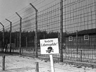 Великая Отечественная война 1941-1945 гг Великая Отечественная война 1941-1945 гг