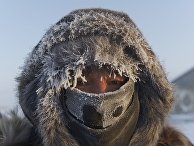 Сильные морозы в Якутии Сильные морозы в Якутии