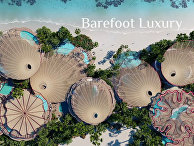 Coral Bloom designs at The Red Sea Coral Bloom designs at The Red Sea