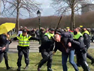 Разгон протестующих в Гааге Разгон протестующих в Гааге