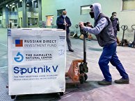 Первая партия вакцины Sputnik V прибыла в Ливан Первая партия вакцины Sputnik V прибыла в Ливан