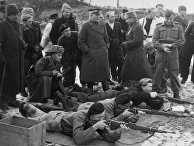 Операция «Борнхольмский десант» 9 мая 1945 года. Начальник штаба Кольбергской военно-морской базы, капитан 2-го ранга Дмитрий Шавцов (третий справа) с жителями острова, на котором войска Красной Армии находились до мая 1946 года Операция «Борнхольмский десант» 9 мая 1945 года. Начальник штаба Кольбергской военно-морской базы, капитан 2-го ранга Дмитрий Шавцов (третий справа) с жителями острова, на котором войска Красной Армии находились до мая 1946 года