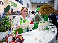 Продукция компании «Эконива». Выставка в рамках V Международного агропромышленного молочного форума Продукция компании «Эконива». Выставка в рамках V Международного агропромышленного молочного форума