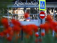 Весеннее цветение растений в Краснодаре Весеннее цветение растений в Краснодаре