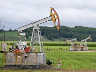 Нефтяные станки-качалки компании «Татнефть» в Альметьевском районе Республики Татарстан Нефтяные станки-качалки компании «Татнефть» в Альметьевском районе Республики Татарстан