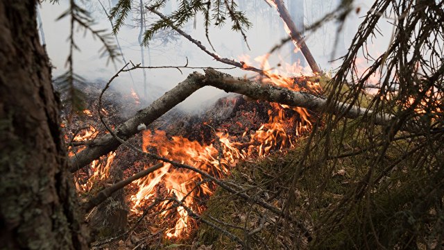 Эта не наша погода : в России лето климатических катастроф (Le Monde, Франция)